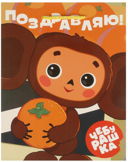 Пакет подарочный