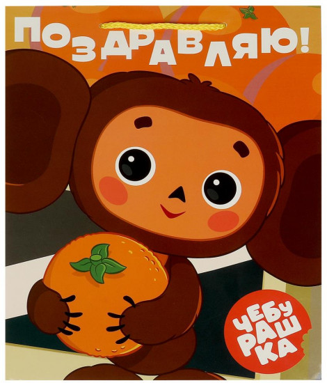 Пакет подарочный