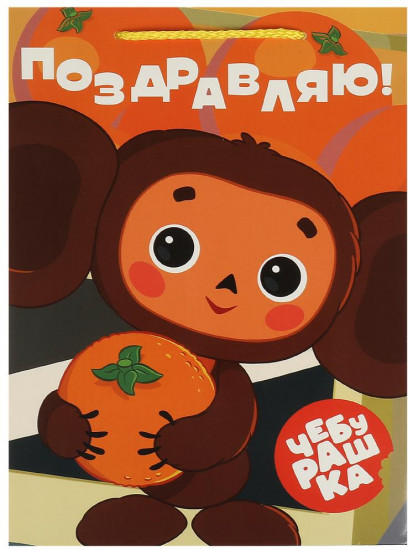 Пакет подарочный