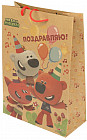 22 × 10 × 31 см