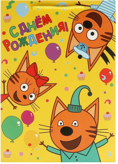 Пакет подарочный