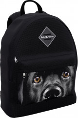 Рюкзак школьный « Black Dog»