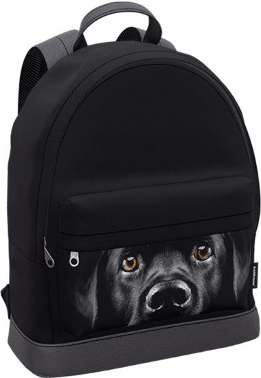 Рюкзак «Black Dog»