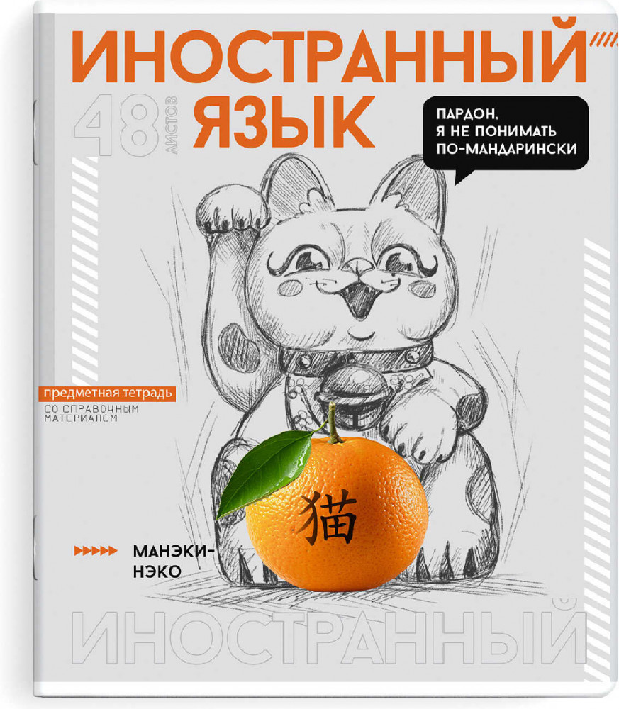 Тетрадь предметная «Иностранный язык» | Яркие детали | Феникс +
