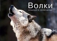 Волки. Хищные и свободные | Кирпичики мироздания. Образы, пробуждающие чувства