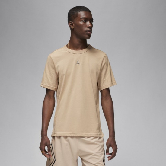 Футболка мужская Jordan Dri-FIT Short-Sl