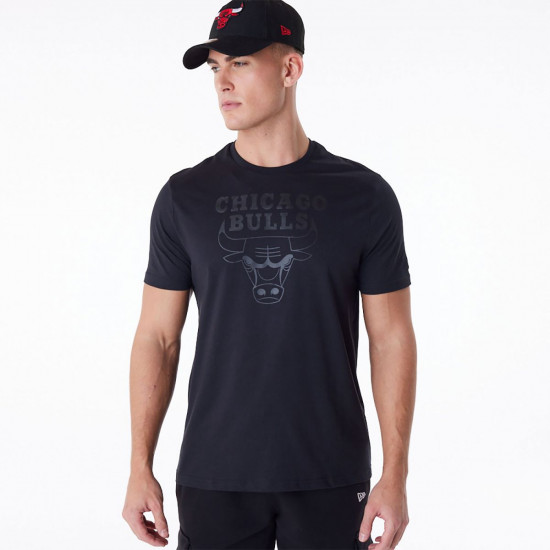 Футболка мужская Chicago Bulls 