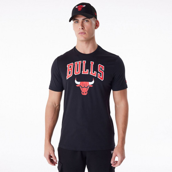 Футболка мужская Regular Tee Chicago Bul