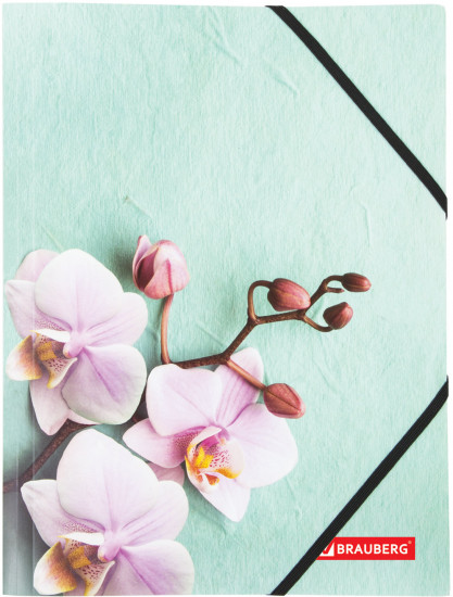 Папка на резинках «Flower»