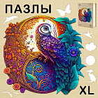 XL