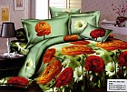 Комплект постельного белья «Tango» (арт. ts03-908, евро, сатин, 2 наволочки 50х70)