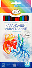 24 шт.