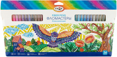 Набор фломастеров