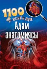 Адам анатомиясы