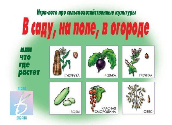 Игра настольная «В саду, на поле, в огороде» | Забавы в картинках | Весна-Дизайн