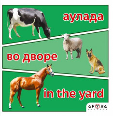Аулада. Во дворе. Yard