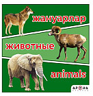 Жануарлар. Животные. Animals