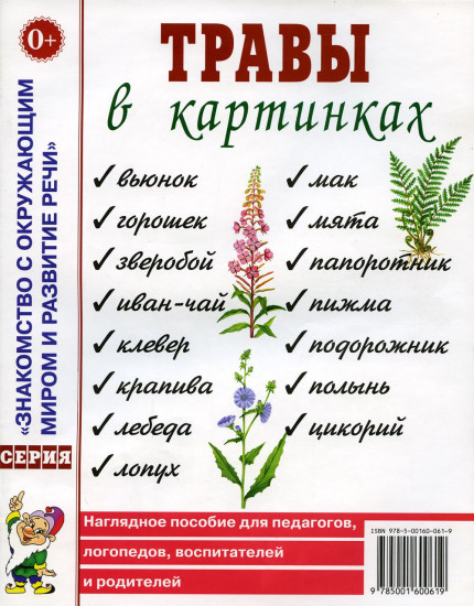 Травы в картинках
