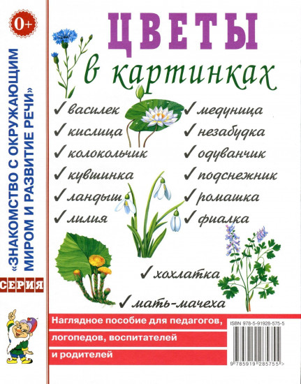 Цветы в картинках