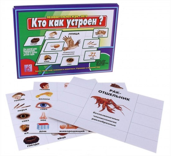 Игра настольная «Кто как устроен»