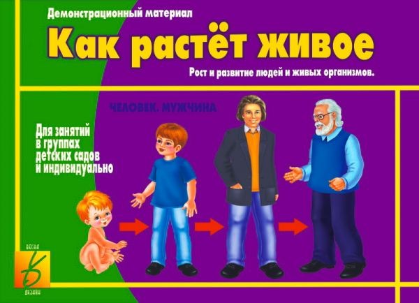 Демонстрационный материал «Как растет живое» | Забавы в картинках | Весна-Дизайн