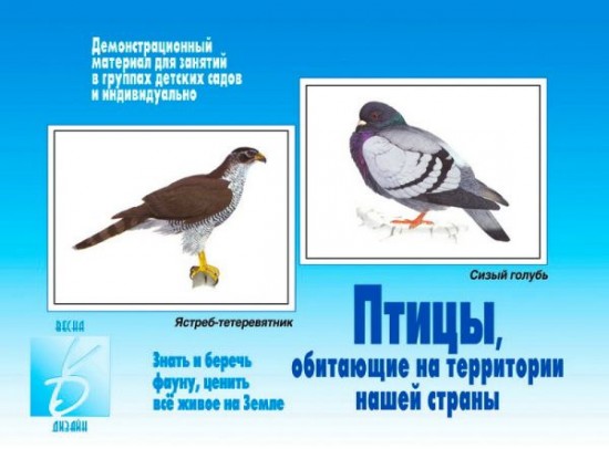Птицы нашей страны