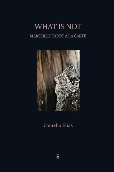 What is not: Marseille Tarot à la carte