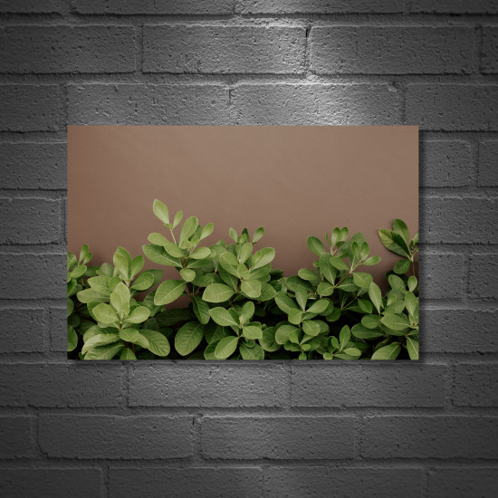 Постер «Part of plants»