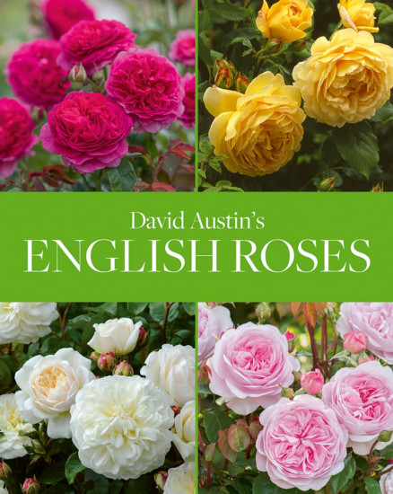 David Austin`s English Roses