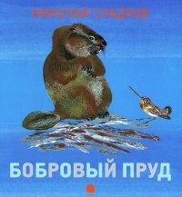 Бобровый пруд