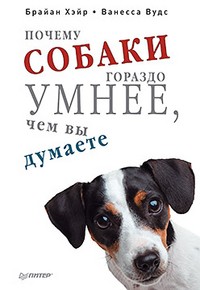 Почему собаки гораздо умнее