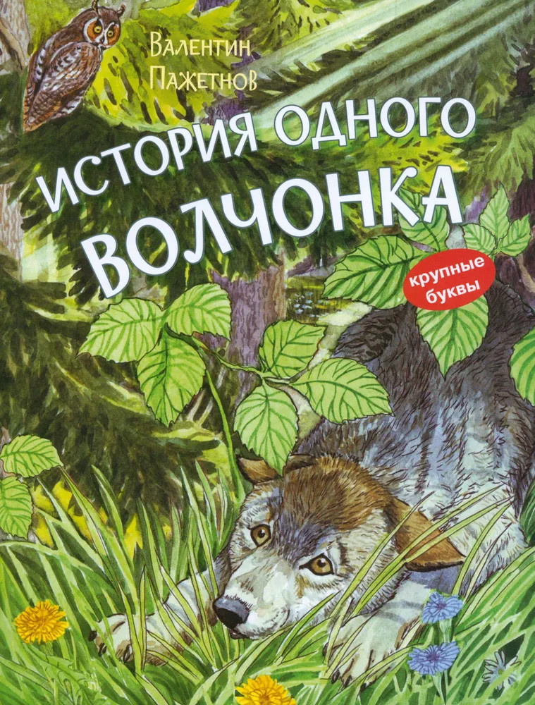 История одного волчонка | Книжная карусель
