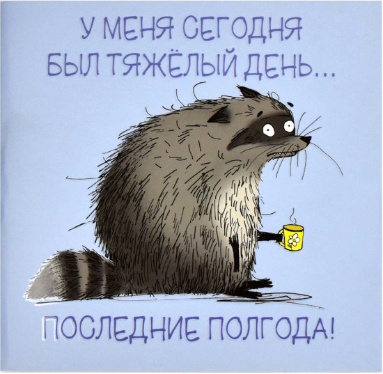 Блокнот «Сонный енот»