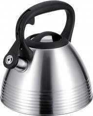 Чайник со свистком «Tea»