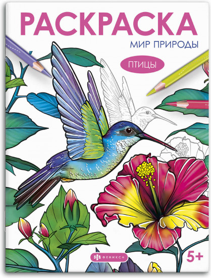 Книжка-раскраска «Птицы»