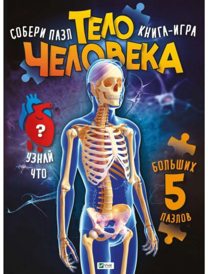 Тело человека