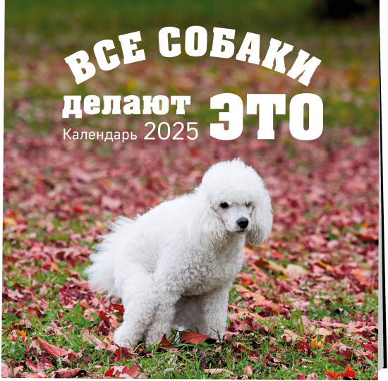Календарь настенный на 2025 год «Все собаки делают это»