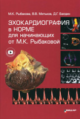Эхокардиография в норме для начинающих