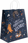Пакет бумажный «Ты просто космос»