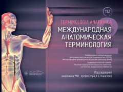 Международная анатомическая терминология