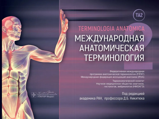 Международная анатомическая терминология