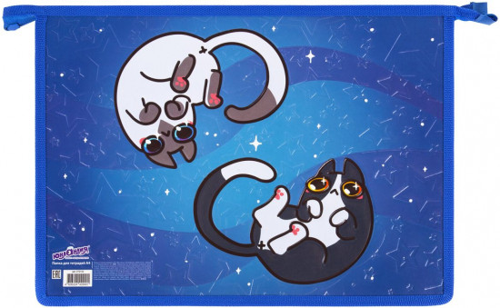 Папка для тетрадей «Ying Yang»