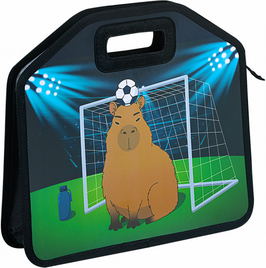 Папка-сумка на молнии «Capyball»