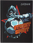 Дневник школьный универсальный для 1-11 классов «Street Sport»