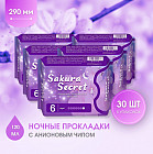Набор анионовых ночных прокладок