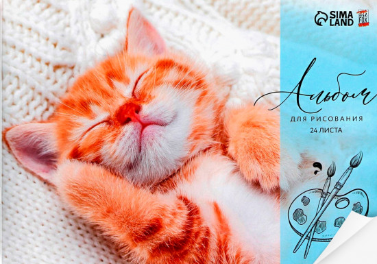 Альбом для рисования «Котик»