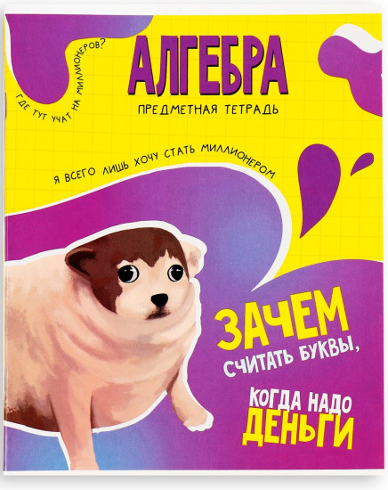 Тетрадь предметная «Алгебра»