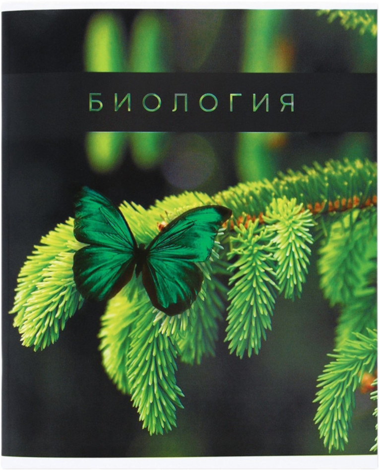 Тетрадь предметная «Биология» | Study — Путешествие | ArtFox