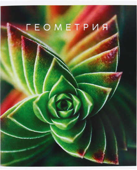 Тетрадь предметная «Геометрия»