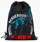 Мешок для обуви «T-REX»